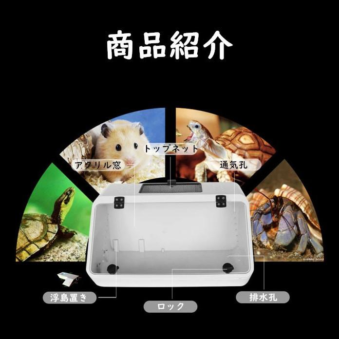 亀 水槽 カメ 飼育ケース ボックス タートルタンク 爬虫類 浮島つき