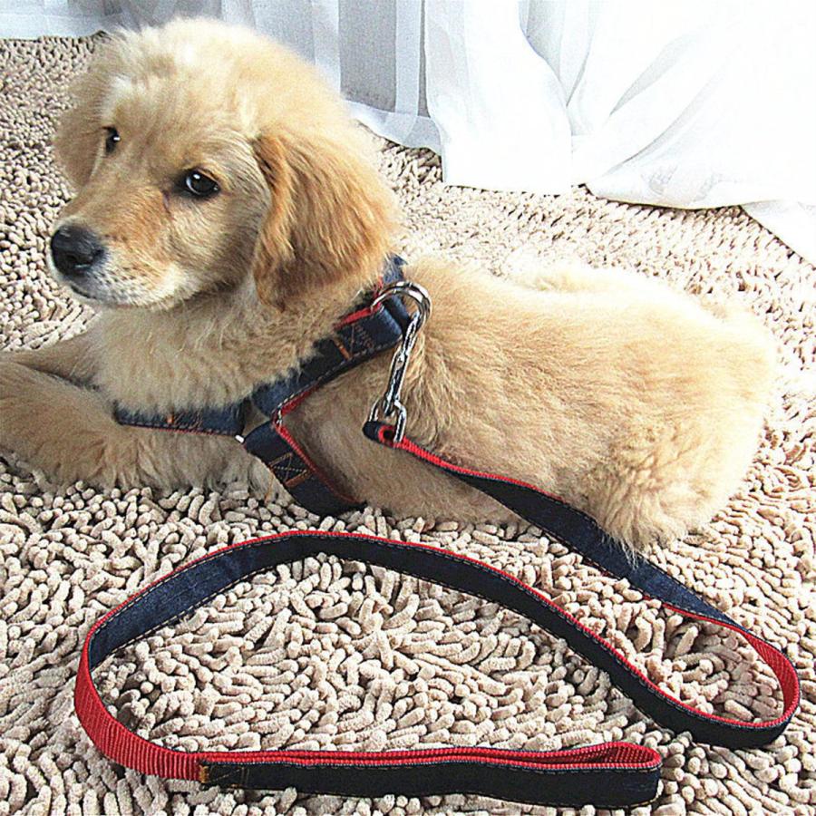 犬用ハーネス 犬ハーネス&リード デニム ペット ハーネス リードセット