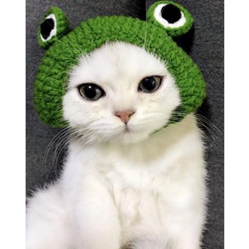 LOVOT カエルさん帽子　カニさん帽子　たかたか ラボットアクセサリー/ カエルちゃんニットボンネット 帽子