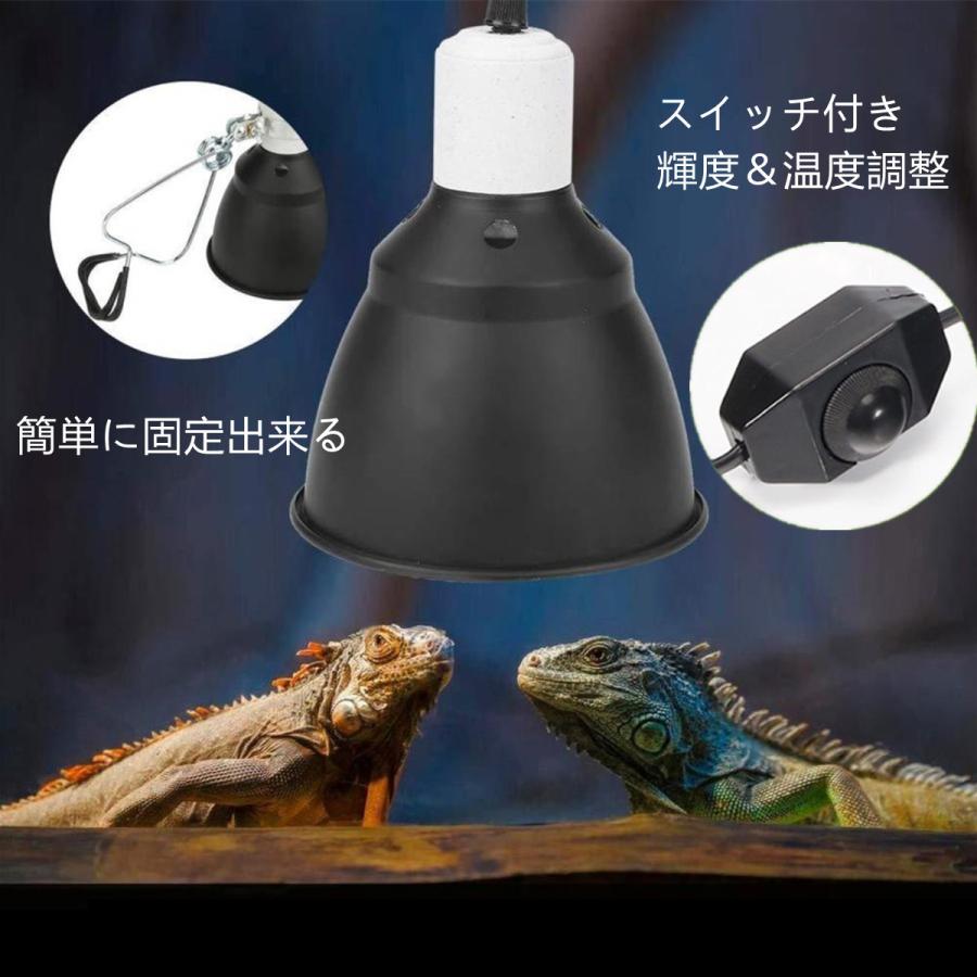 爬虫類 照明器具 - 照明器具 爬虫類 照明器具 - 照明器具