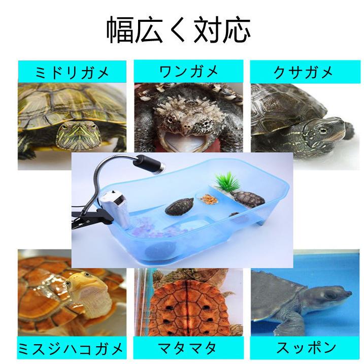 亀 水槽 カメ 飼育ケース 大きい 脱出防止 フェンス タートルタンク 日向ぼっこ台 ミドリガメ クサガメ スッポン 観察 排水孔 階段 エサ皿 特大 74*43*23｜panni123｜03