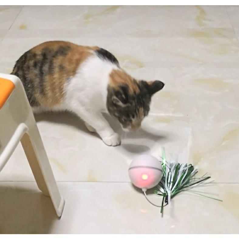 猫 おもちゃ 玩具 ボール 自動回転 光る LED 転がる ゴロゴロ