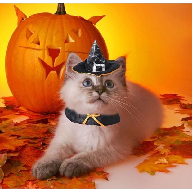 ペット 服 ハロウィン 魔女帽子 猫 小型犬 コスプレ 衣装 ペット 服 ハロウィン 魔女帽子 猫 小型犬 コスプレ 衣装