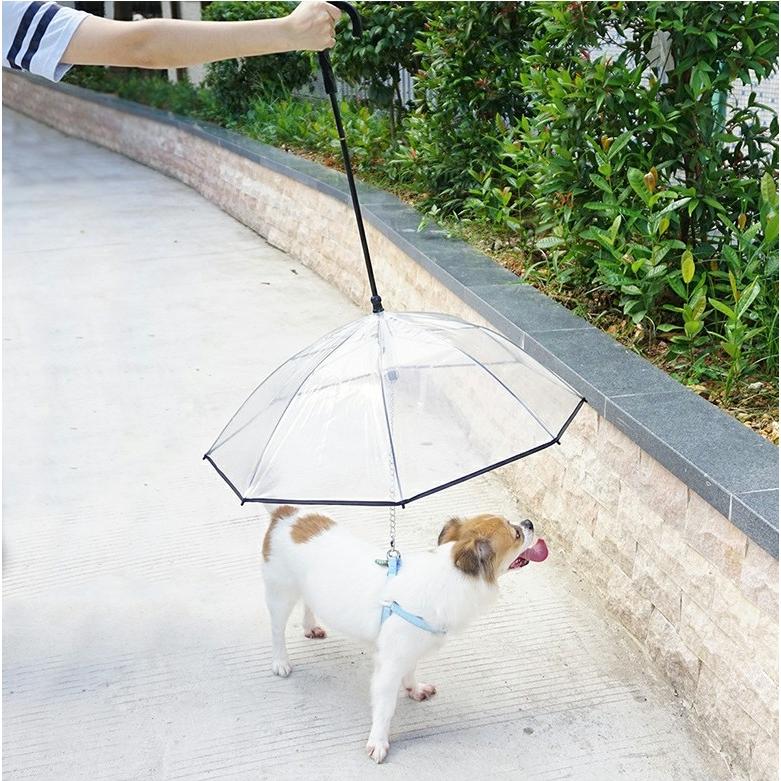 ペット アンブレラ 犬用 傘 散歩 犬 折りたたみ リードつき ペット 小型犬 中型犬 雨具 愛犬 かさ 雨 雨傘 UMBRELLA ペット用雨具｜panni123｜11