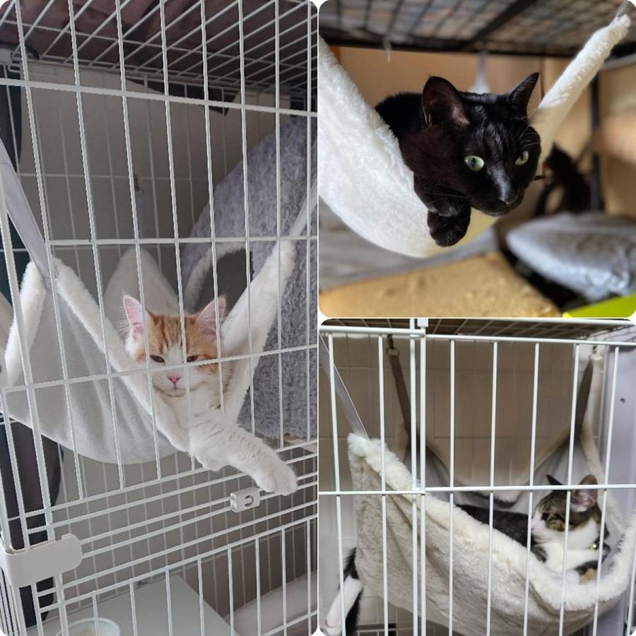 即納 猫 ハンモック 冬用 ケージ用 吊り下げ式 リバーシブル もこもこ