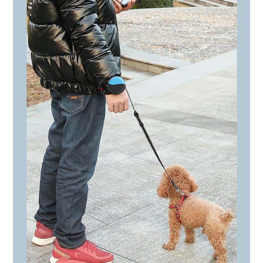 犬用 リストバンド型伸縮式リード お散歩リード手首か手の平につけるので 両手がふさがれない 伸縮式 採用 リード長さ最大3メートル おしゃれなリード Ywlsswsgqyq Pannipet 通販 Yahoo ショッピング