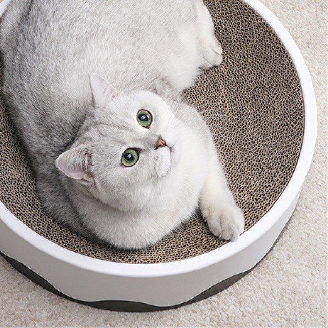猫爪とぎ ダンボール製 囲い付き 猫用ベッド兼用 猫 爪とぎ 猫ベッド 猫用 すり鉢型 ダンボール 詰め替え つめとぎ