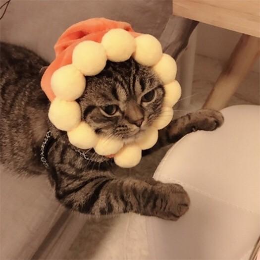 猫 頭飾り ネコ帽子ヘッドドレス イエロー ペットハット 可愛い