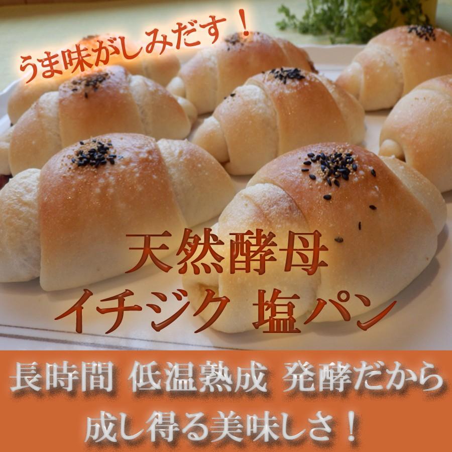いちじく 塩パン 10個セット 天然酵母パン 冷凍便配送商品 : 天然酵母