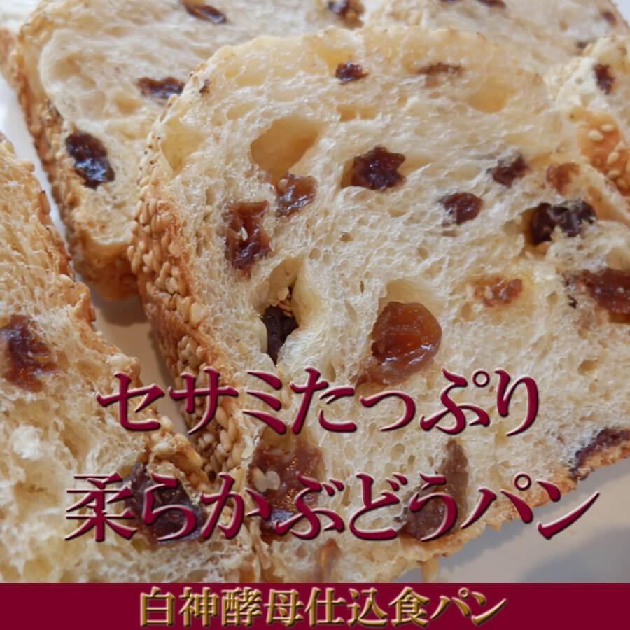 レーズン食パン セサミたっぷり 柔らかぶどうパン 白神酵母仕込 : 天然