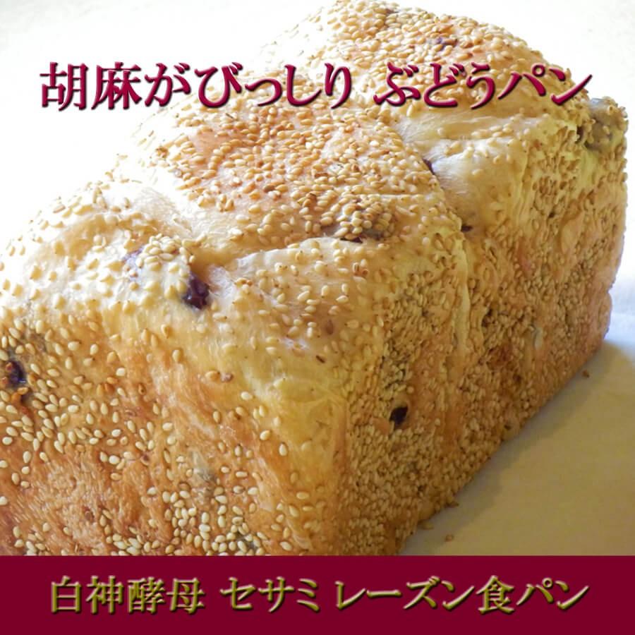 レーズン食パン セサミたっぷり 柔らかぶどうパン 白神酵母仕込 : 天然