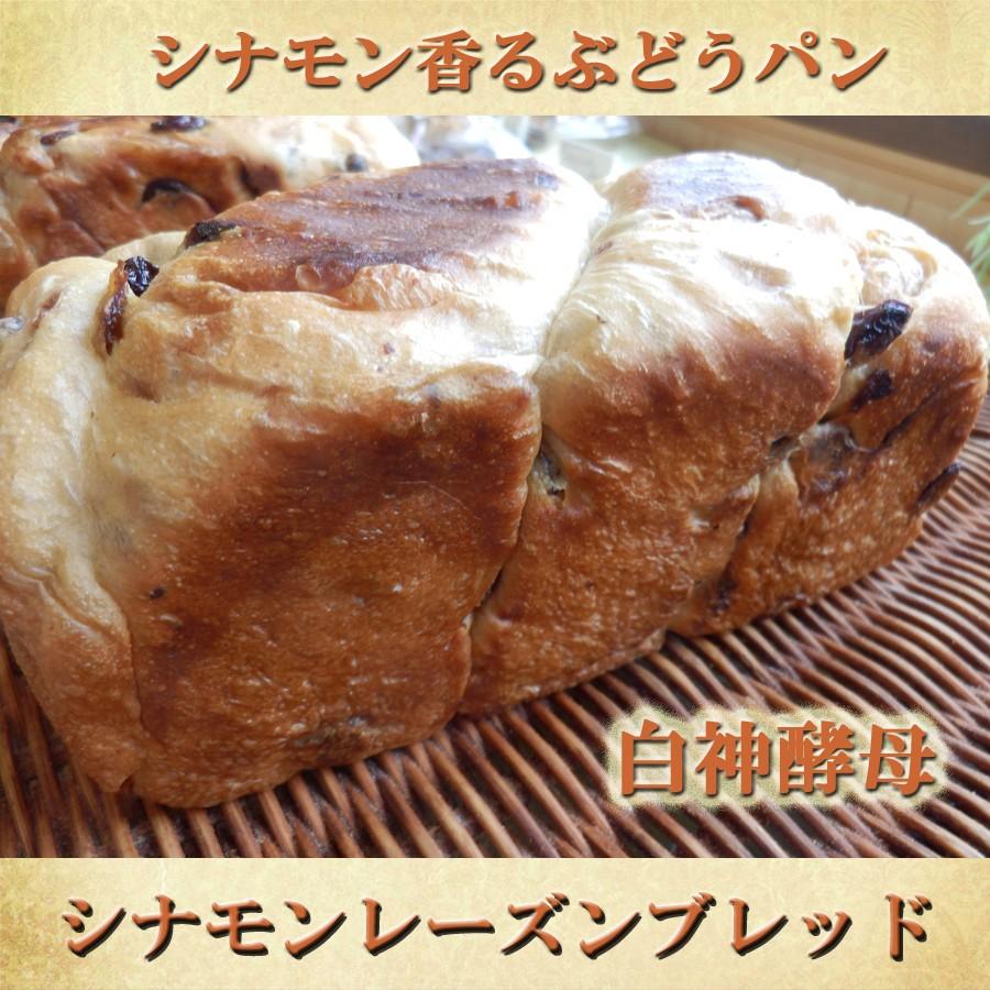 シナモン バター レーズン 食パン 白神酵母 仕込 冷凍便配送商品