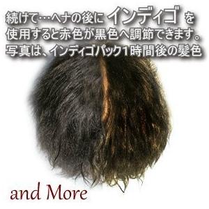 インディゴ 2回染め専用 ナンバンアイ葉100 パウダー Fakfakkab Go Id