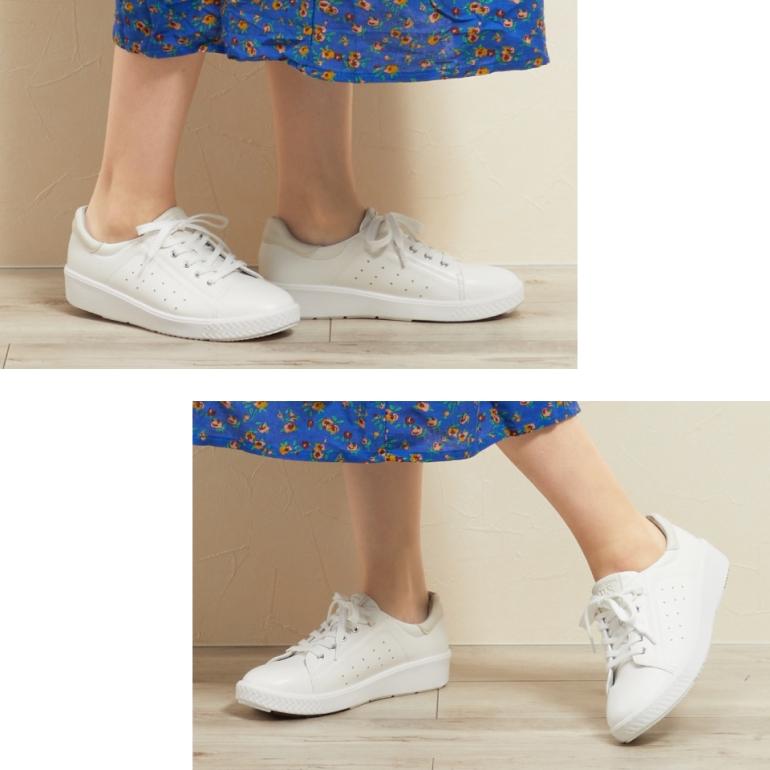 PANSY（パンジー） 直営限定カラー スニーカー レディース 靴 シューズ