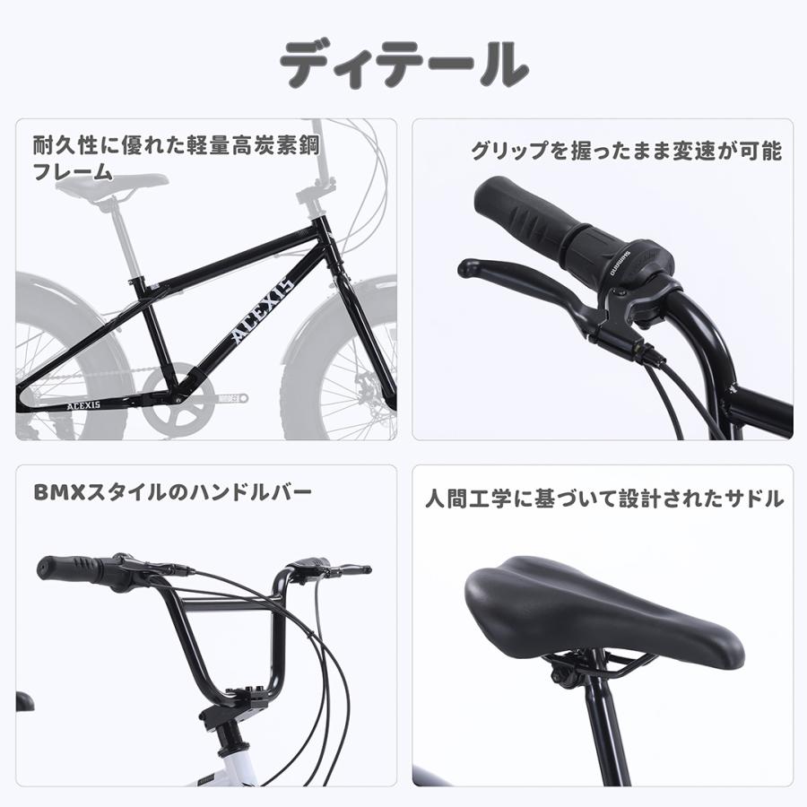 ACEXIS ファットバイク Fat City Cruiser BMX 自転車 シティ ビーチ