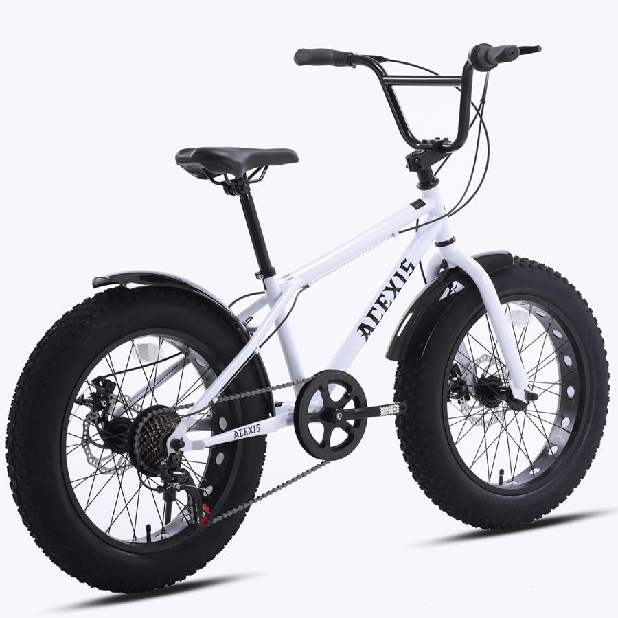 ACEXIS ファットバイク Fat City Cruiser BMX 自転車 シティ ビーチ