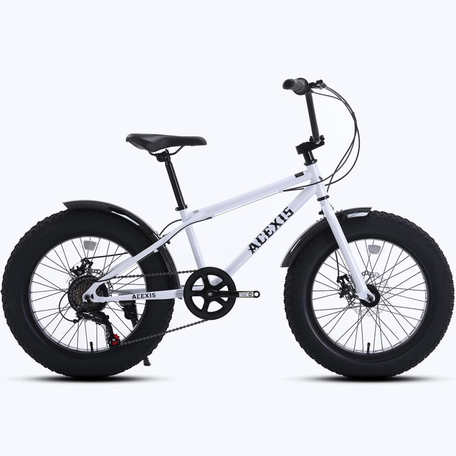 1000円OFF】ACEXIS ファットバイク Fat City Cruiser BMX 自転車