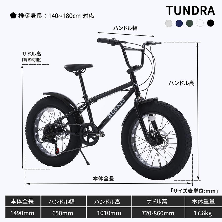 1000円OFF】ACEXIS ファットバイク Fat City Cruiser BMX 自転車
