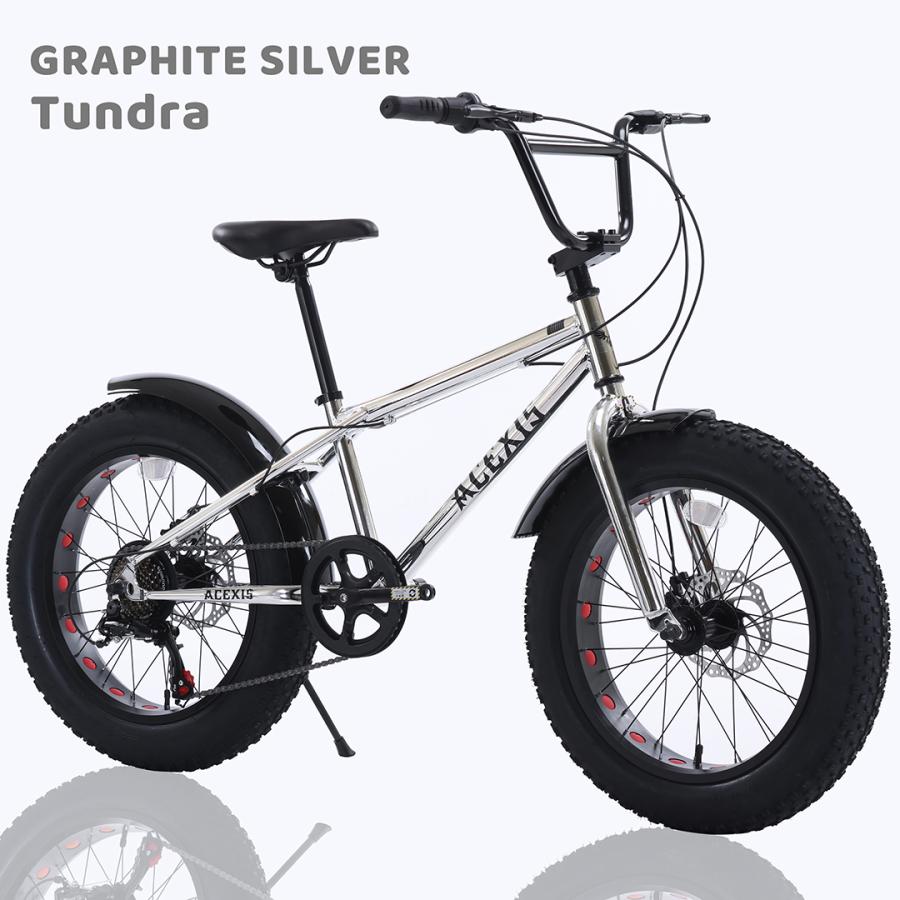 1000円OFF】ACEXIS ファットバイク Fat City Cruiser BMX 自転車