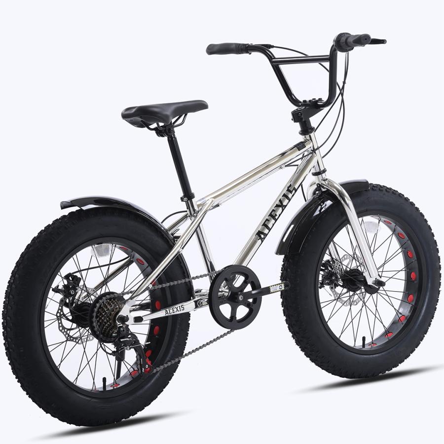 1000円OFF】ACEXIS ファットバイク Fat City Cruiser BMX 自転車