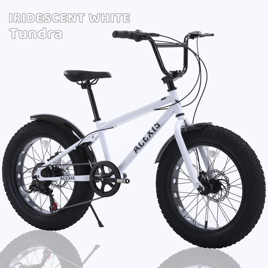 1000円OFF】ACEXIS ファットバイク Fat City Cruiser BMX 自転車