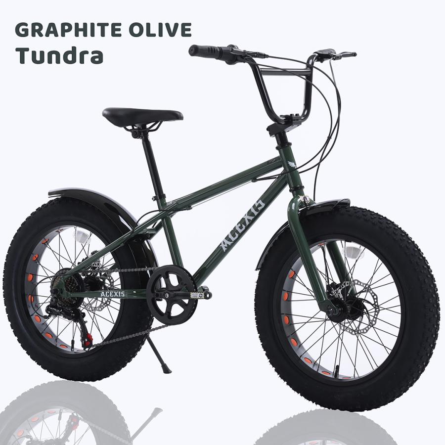 1000円OFF】ACEXIS ファットバイク Fat City Cruiser BMX 自転車