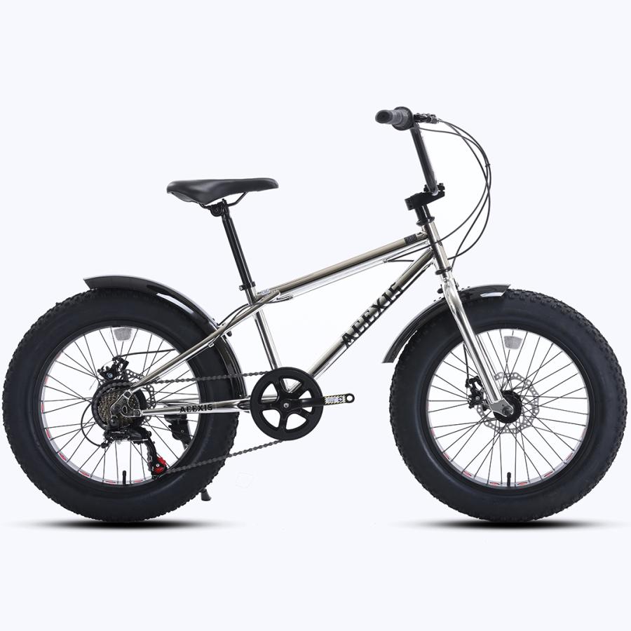ACEXIS ファットバイク Fat City Cruiser BMX 自転車 シティ ビーチ