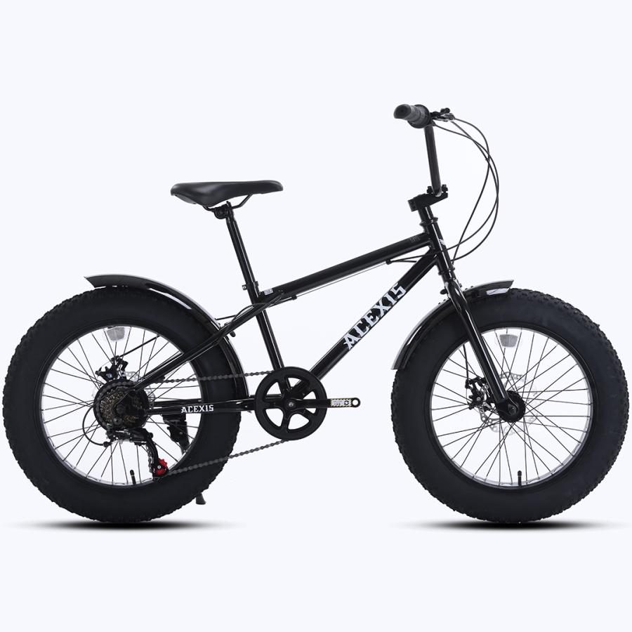 ACEXIS ファットバイク Fat City Cruiser BMX 自転車 シティ ビーチ
