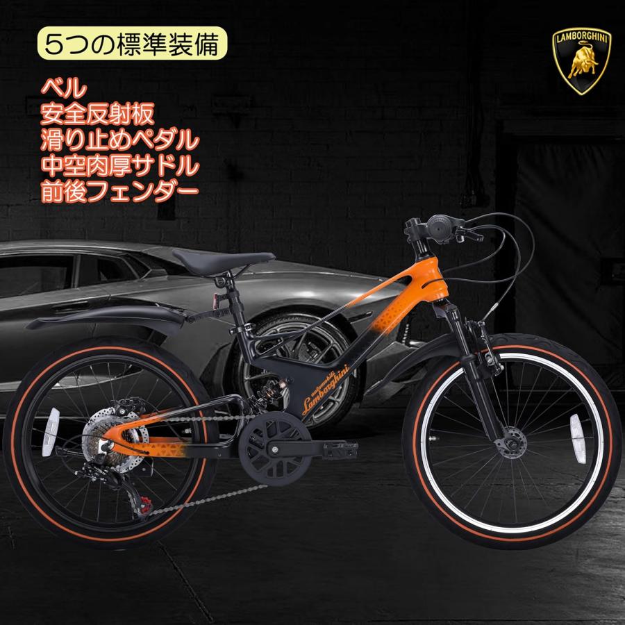 Lamborghini (ランボルギーニ) ジュニア・子供自転車20インチ マウンテンバイク 超軽量マグネシウム素材 変速7段 前後サスペンション｜panther-bicycle｜12