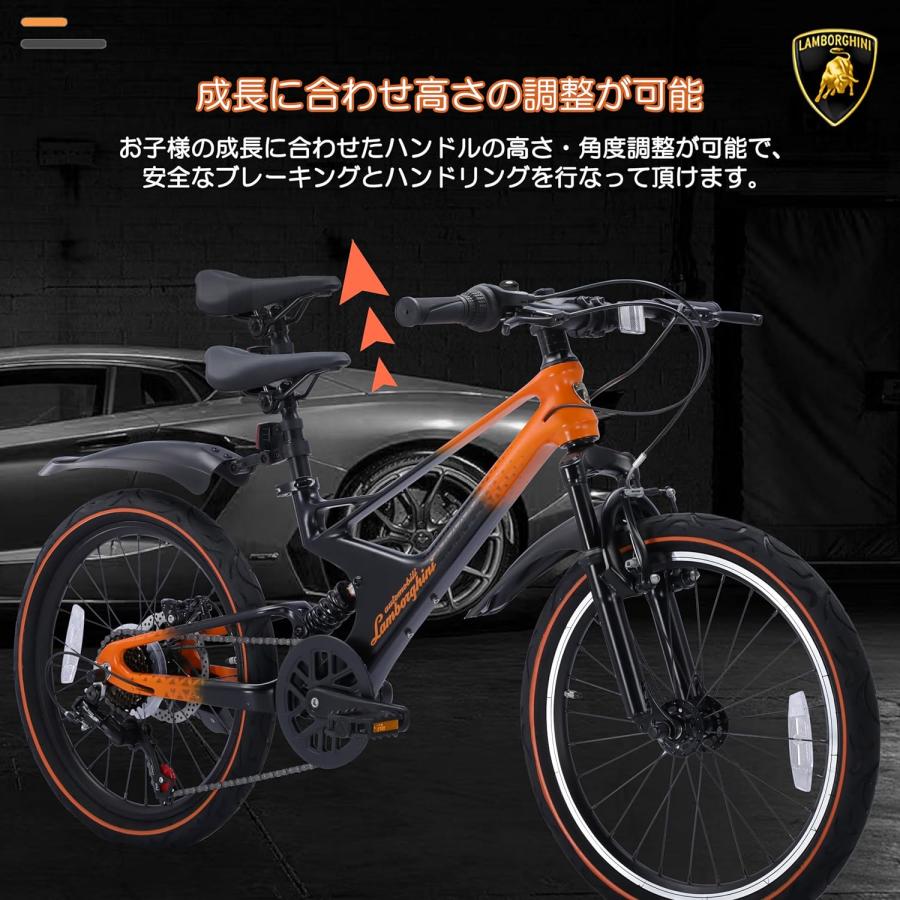 Lamborghini (ランボルギーニ) ジュニア・子供自転車20インチ マウンテンバイク 超軽量マグネシウム素材 変速7段 前後サスペンション｜panther-bicycle｜13