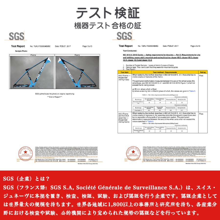 PANTHER(パンサー) マウンテンバイク MTB フルカーボン フレームセット