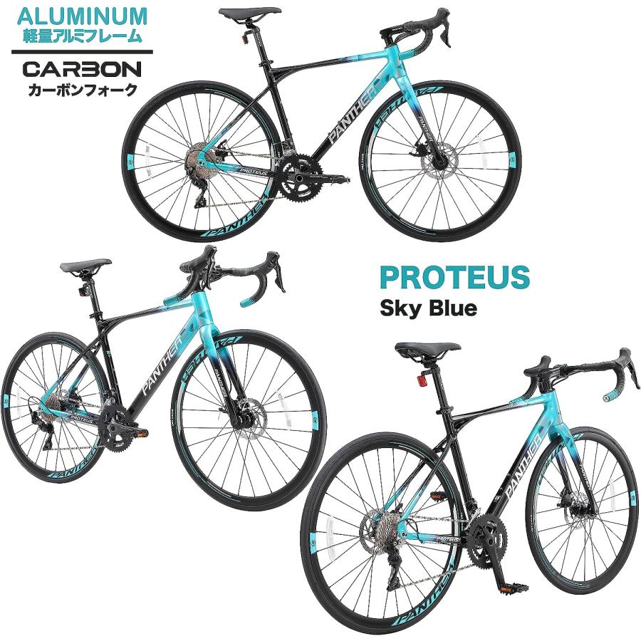 PANTHER (パンサー) ロードバイク Proteusシリーズ シマノ105搭載 22段