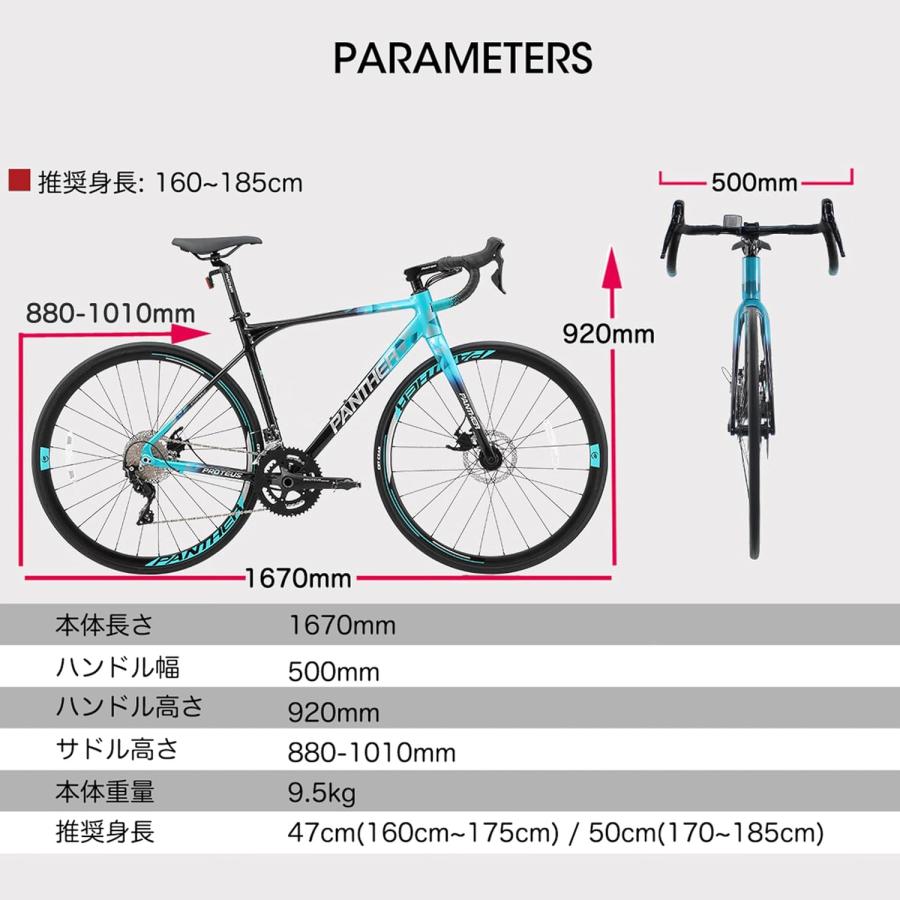 PANTHER (パンサー) ロードバイク Proteusシリーズ シマノ105搭載 22段