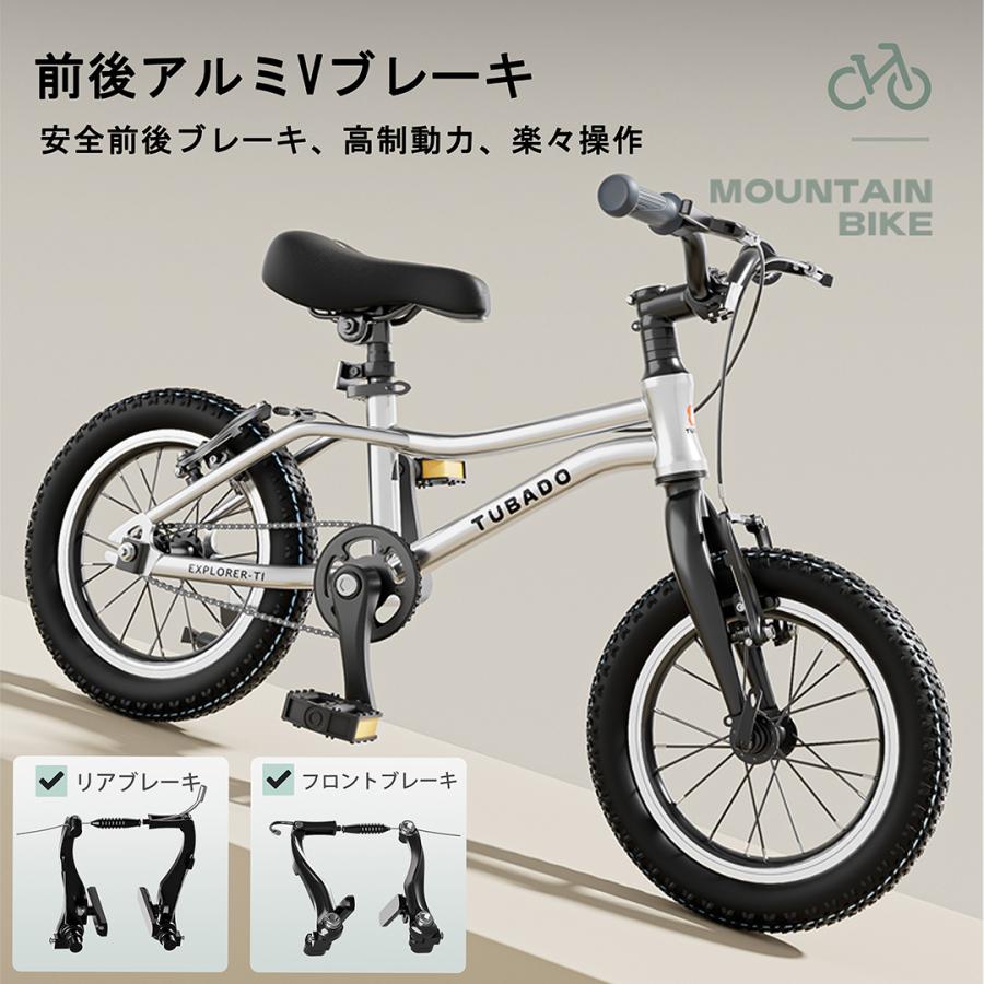 ACEXIS 子供自転車 16インチ 超軽量アルミ本体8.8kg Silver 子供自転車 キッズバイク 14インチ 16インチ 3歳 4歳 5歳 6歳 7歳 8歳