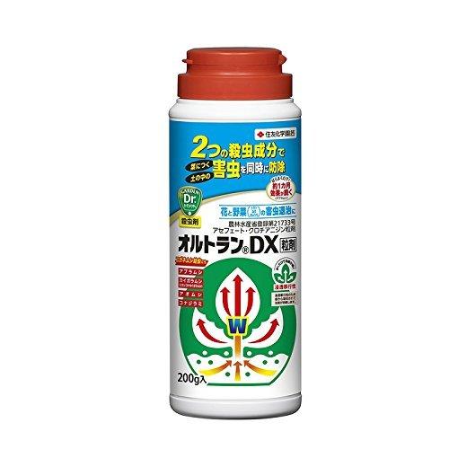 コバエ 害虫 駆除 オルトラン 0g 観葉植物 花 野菜 A B01etkiims パントリープライス 通販 Yahoo ショッピング