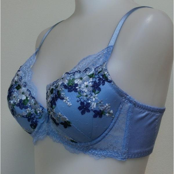 Triumph（トリンプ） 【E70】天使のブラ スリムライン0050 triumph