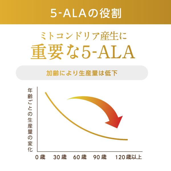 2個【国内製造】【高配合1粒30mg】『デアザフラビン30 31粒』【5ala CoQ10も追加配合】_10