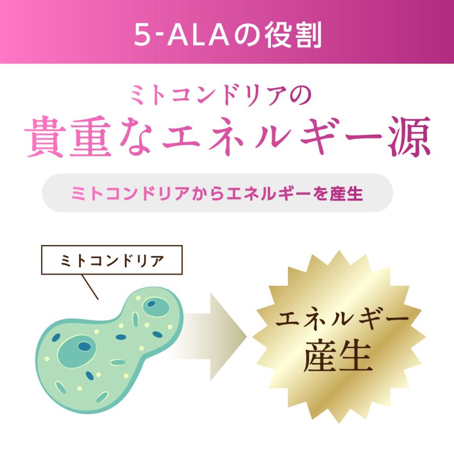 2個【国内製造】【高配合1粒30mg】『デアザフラビン30 31粒』【5ala CoQ10も追加配合】_11