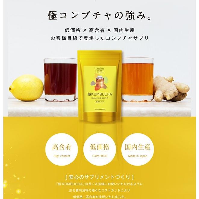 『コンブチャ 極KOMBUCHA 60粒 ＜５袋セット＞』 メール便 サプリ オリゴ糖 紅茶キノコ 紅茶 サプリメント｜papamama｜05