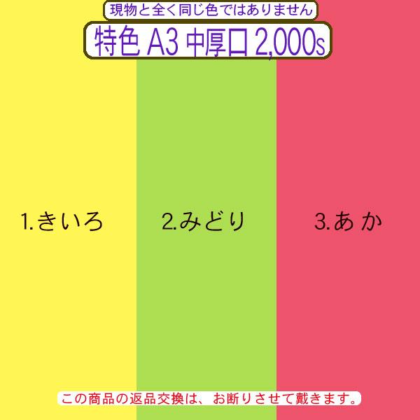 色上質(多量)特色A3判縦目＜中厚口＞(2000枚)