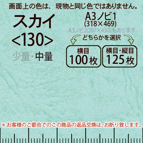レザック66(中量)スカイA3ノビ判1(318×469)＜130＞(Y目100枚orTY目125枚)