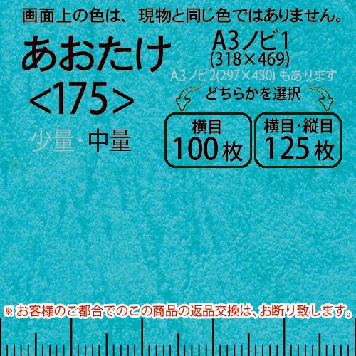 レザック66(中量)青竹A3ノビ判1(318×469)＜175＞(Y目100枚orTY目125枚)