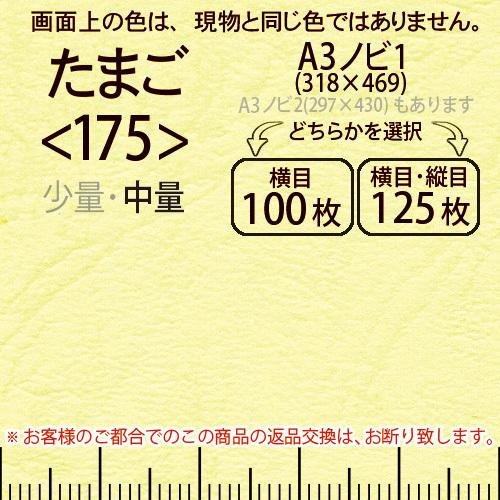 レザック66(中量)たまごA3ノビ判1(318×469)＜175＞(Y目100枚orTY目125枚)