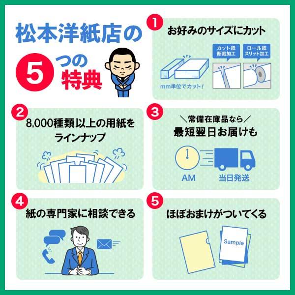 エーワン A-one 紙の専門店 松本洋紙店 屋外でも使えるサインラベルシール A3 1面 5シート入 31044 印刷紙 印刷用紙｜paper｜05