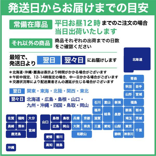 エーワン A-one 紙の専門店 松本洋紙店 File Accessories共用 ラベル インデックスラベルA4 40面18シート 31481 印刷紙 印刷用紙｜paper｜04