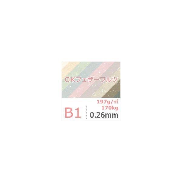 197g/平米 【キレイ】 B1サイズ：50枚 送料実費