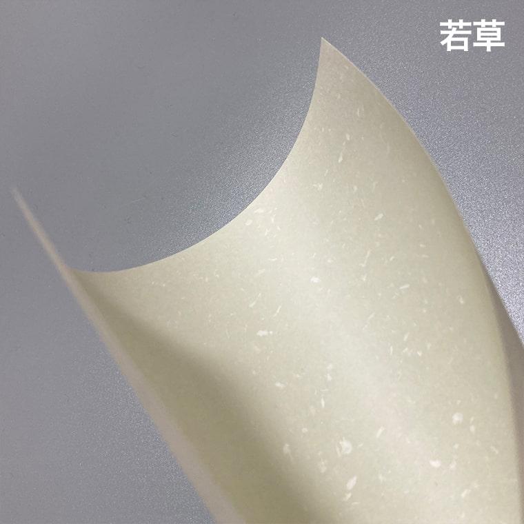 197g/平米 【キレイ】 B1サイズ：50枚 送料実費