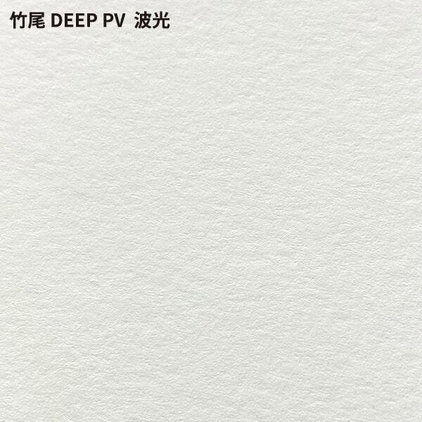 竹尾 DEEP PV 波光 A2サイズ：100枚 紙 絵画紙 水彩紙 印刷紙 写真印刷