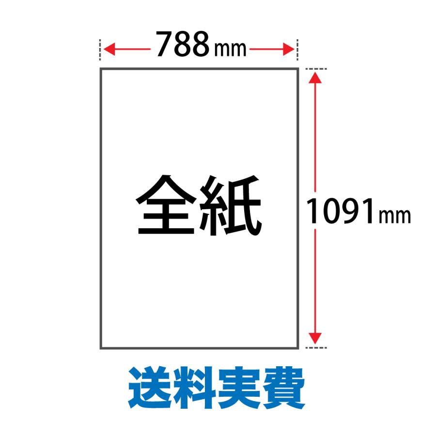 竹はだGA　81.4g　平米　送料実費　印刷用紙　印刷紙　全紙サイズ(1091×788mm)：200枚　松本洋紙店