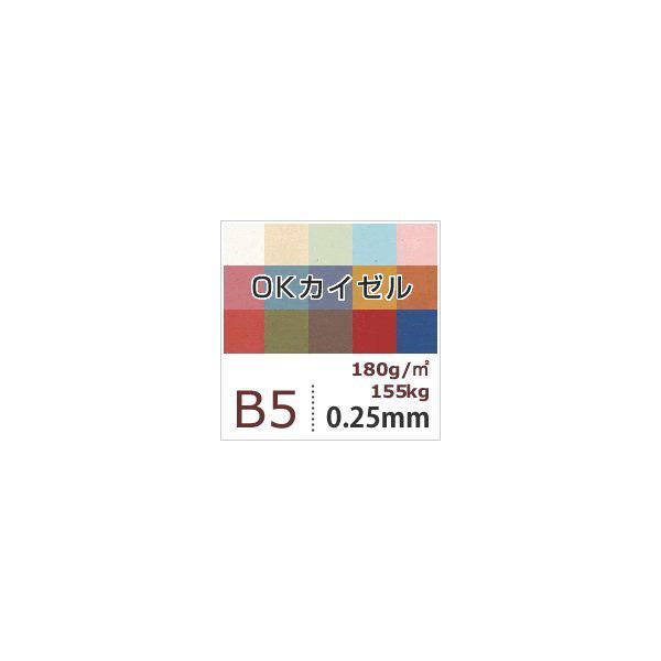 OKカイゼル 180g/平米 0.25mm B5サイズ：500枚 色紙 いろがみ 色画用紙 印刷紙 印刷用紙 カラーペーパー 和紙風コピー用紙_3